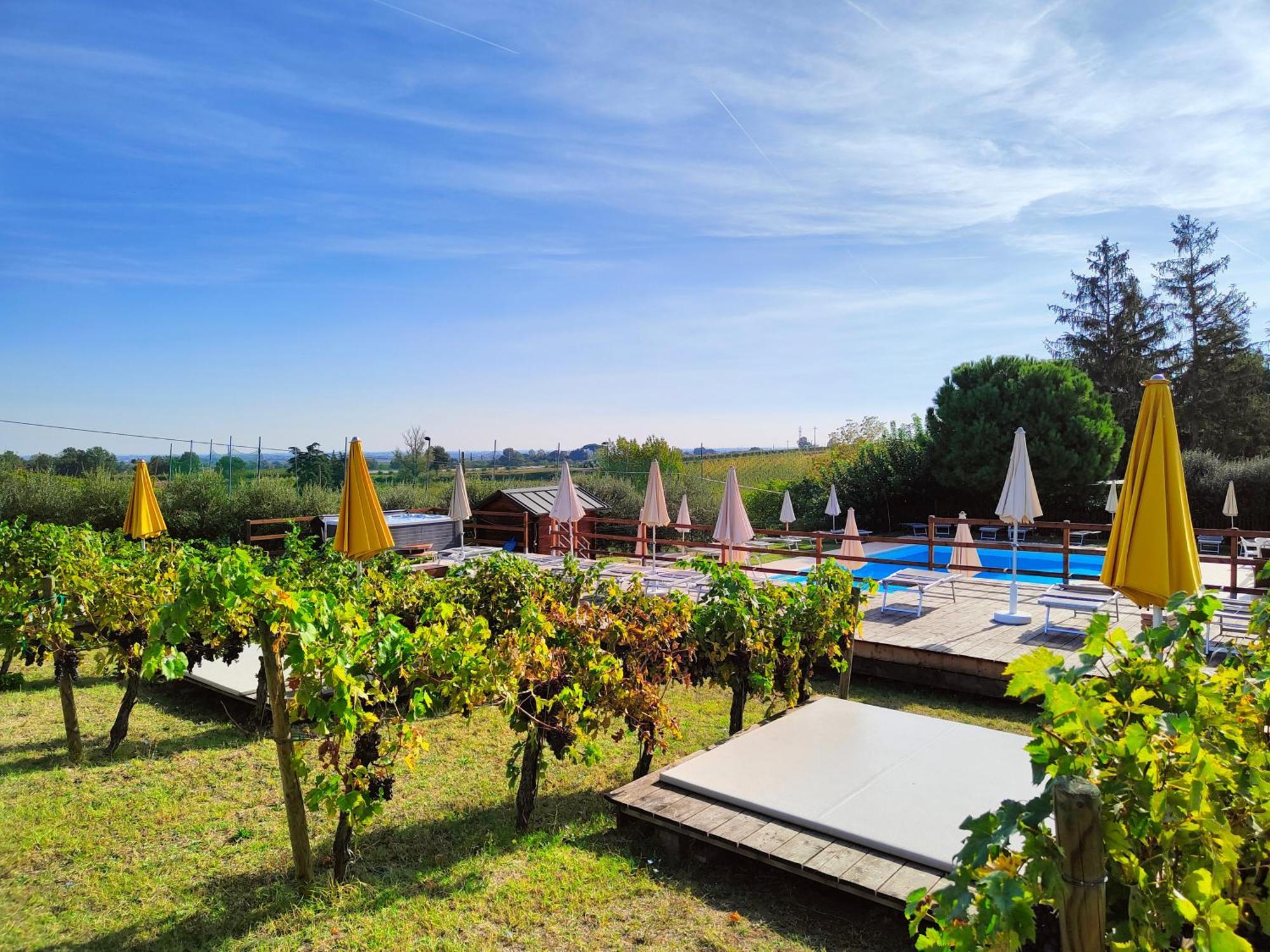 Agriturismo E Cantina La Sabbiona Faenza Exterior photo